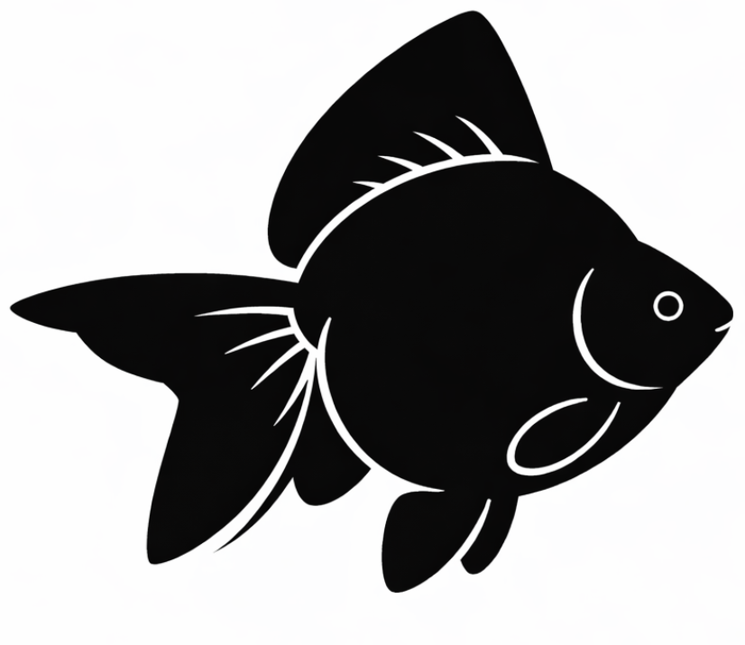 Fancy Goldfish Notes